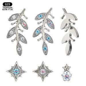 Pendientes de Titanio G23 F136 con Incrustaciones de Zirconia en Forma de Estrella, Joyería de Moda - Product Image 1