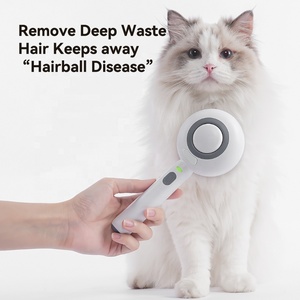 <span class=keywords><strong>Spazzola</strong></span> a Vapore Ricaricabile per Toelettatura Animali, Facile da Usare, Pettine Portatile in Acciaio Inox per Cani e Gatti - Product Image 6