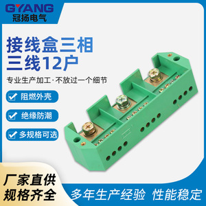 Boîtier de jonction Guan Yang triphasé trois fils pour 12 foyers, bloc de terminaison de comptage IP44 en ABS vert - Product Image 5