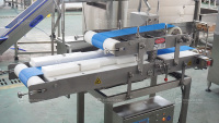 Horizontale automatische snijmachine voor groenten, meloenen, squash, courgettes, aubergines en zucchini