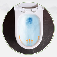 Design moderne Articles sanitaires en céramique One Piece Toilette à double chasse S-Trap Drainage pour salle de bain Vente en gros d'usine
