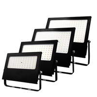 WOOJONG LED Stadium Flood Light IP65 10W 20W 30W 40W 50W 100W 200W LED Matte Flood Light Outdoor Light