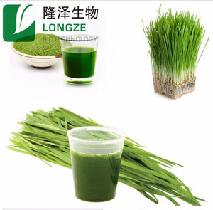 Poudre de jus <span class=keywords><strong>d</strong></span>'herbe <span class=keywords><strong>d</strong></span>'<span class=keywords><strong>orge</strong></span> de haute qualité approvisionnement en extrait de plante de qualité supérieure - Product Image 6