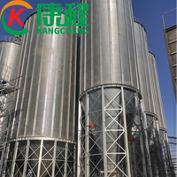Silo de haute qualité avec élévateur, 500 tonnes, fond conique en acier, silos à maïs, blé, riz, paddy