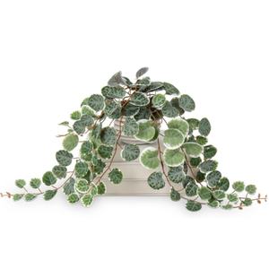 Chaîne artificielle de coeurs vignes sans Pot plantes en plastique pour salon salle à manger étagère bureau Table basse décor - Product Image 1