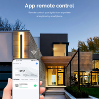 ANDELI Basic Smart Domotique DIY Intelligent Intelligent Wifi Télécommande Sans Fil Module Relais Universel Lumière Puissance Mini Commutateur