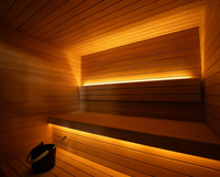 Sauna extérieur en cèdre rouge avec porte vitrée intégrale, éclairage LED, sauna à vapeur sèche, cabine de sauna sur mesure, sauna de jardin