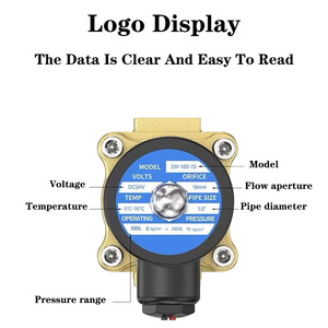2W <strong>Normally</strong> Closed Electric Brass <strong>Solenoid</strong> <strong>Valve</strong> 12VDC 24VDC 110VAC 220VAC Waterproof Brass <strong>Solenoid</strong> <strong>Valve</strong> for Water Air - Product Image 4
