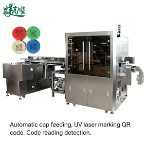 Equipo Integrado de Codificación, Lectura, Recopilación de Datos y Rechazo con Láser UV de Alimentación Automática para Línea de Producción de Tapas de Botellas de Leche - Product Image 4