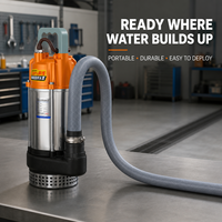 Pompe à eau submersible en acier inoxydable 550W 36V-72V DC, alimentée par batterie, pour l'irrigation, le drainage et le transfert d'eau pour les étangs agricoles