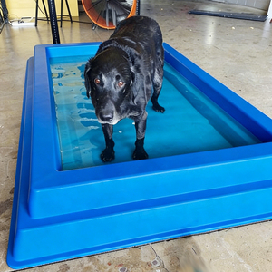 Piscina per Animali Domestici Personalizzata, Durevole ed Ecologica, Portatile in Fibra di Vetro, Giocattolo per Pulizia, Popolare Piscina Splash per Cani - Product Image 2