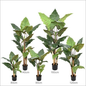 Arbre artificiel <span class=keywords><strong>Arum</strong></span> à grandes feuilles, aspect réaliste, vente en gros d'usine, pour décoration d'événements - Product Image 2