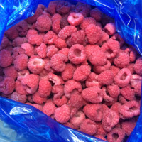 Iqf Bevroren Verse Frambozenfruit Bevroren Frambozen Bulkstijl Verpakking Cif Fca Fob Cfr Exw