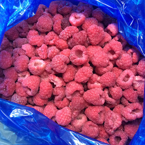 IQF-fruta fresca de frambuesa congelada, embalaje a granel, estilo de Raspberry a granel, formato de aleta de calidad de la fruta, envío a través de la FCA FOB CFR - Product Image 4