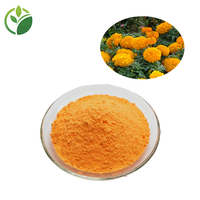 Extrait de Calendula, Lutéine et Esters de Lutéine Rétentionnés ≥5%, Poudre de Calendula, Couleur Naturelle Orange-Jaune, Colorant Alimentaire, Teinture pour Pâtisserie