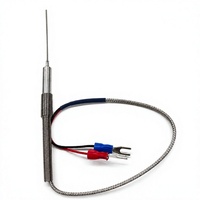 Sonde thermocouple blindée de type N personnalisable pour la surveillance de la température industrielle sur une large plage