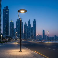 Lampadaire LED extérieur, éclairage public pour projets d'éclairage de voirie, luminaire routier pour le marché marocain