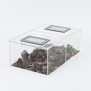 Terrario de Plástico Transparente con Doble Tapa para Exhibición de Hábitats de Reptiles - Product Image 2