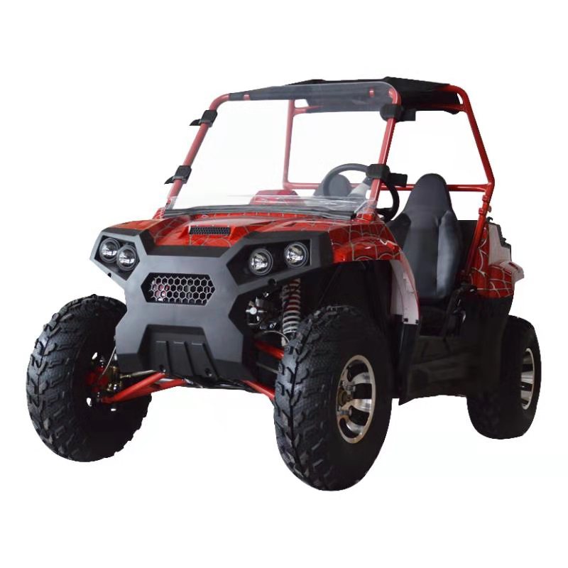 Fabriek Hoge Kwaliteit Volwassen Elektrische Utv 2000W 4X4 Utv Met 2 Zits