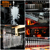 10000BPH Volledig Automatische 4-holte Premium blaasmachine met intelligente PLC & HMI interface voor hoogvolume PET-flesblaasactiviteiten