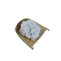High Resilience Polyester Fiber 15D 64mm Hollow Conjugated Siliconized Polyester Staple Fiber for Pillow Quilt Cushion Filling