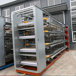 Thiết Bị Trang Trại Thiết Yếu Sử Dụng 10000 Chim Gia Cầm H-Loại Gà Lồng Mạ Kẽm Lớp Kim Loại Cho Gà Đẻ Pin Tự Động - Product Image 5