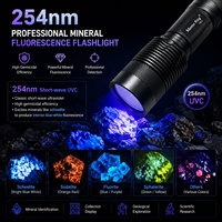 Lampe torche LED UVC 10W 254nm rechargeable 26650 à ondes courtes pour la détection de minéraux fluorescents et de pierres précieuses C8.2
