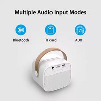 Double Microphone Mini Microphone Portable Home Singing Karaoke Wireless BT Speaker Outdoor Mini Speaker with RGB Light