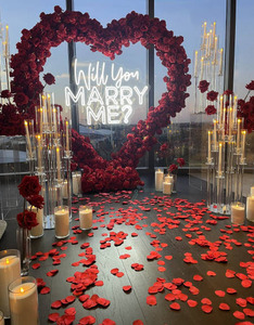 Esplosivo mi sposerai un'insegna al Neon personalizzata proporre oggetti di scena a LED per matrimonio segno illuminazione per eventi esterni per la decorazione di nozze - Product Image 2