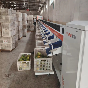 Máquina clasificadora <span class=keywords><strong>de</strong></span> peso Kiwi/máquina para clasificar kiwi/máquina clasificadora <span class=keywords><strong>de</strong></span> dátiles chinos - Product Image 1