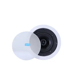 Heimkino DJ Wireless WIFI Blaue Zähne Audio Alexa tragbare Multimedia Smart TV Karaoke Wand aktive Decken verstärker Lautsprecher.