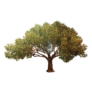 Высокое искусственное оливковое дерево, искусственное ландшафтное дерево для украшения сада и отеля, искусственное пластиковое шелковое оливковое дерево