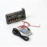 Yüksek Güçlü Dijital Amplifikatör Kartı Alıcı Subwoofer Çıkışı Ev Ses Sistemi için Çift Mikrofonlu Karaoke Amfisi