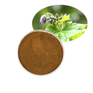 Chinese medicine dried mullein leaves extract mullein extract