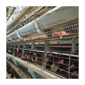 Jaula para <span class=keywords><strong>pollos</strong></span> <span class=keywords><strong>de</strong></span> exportación, gallinero para 5000 gallinas en <span class=keywords><strong>venta</strong></span> - Product Image 3