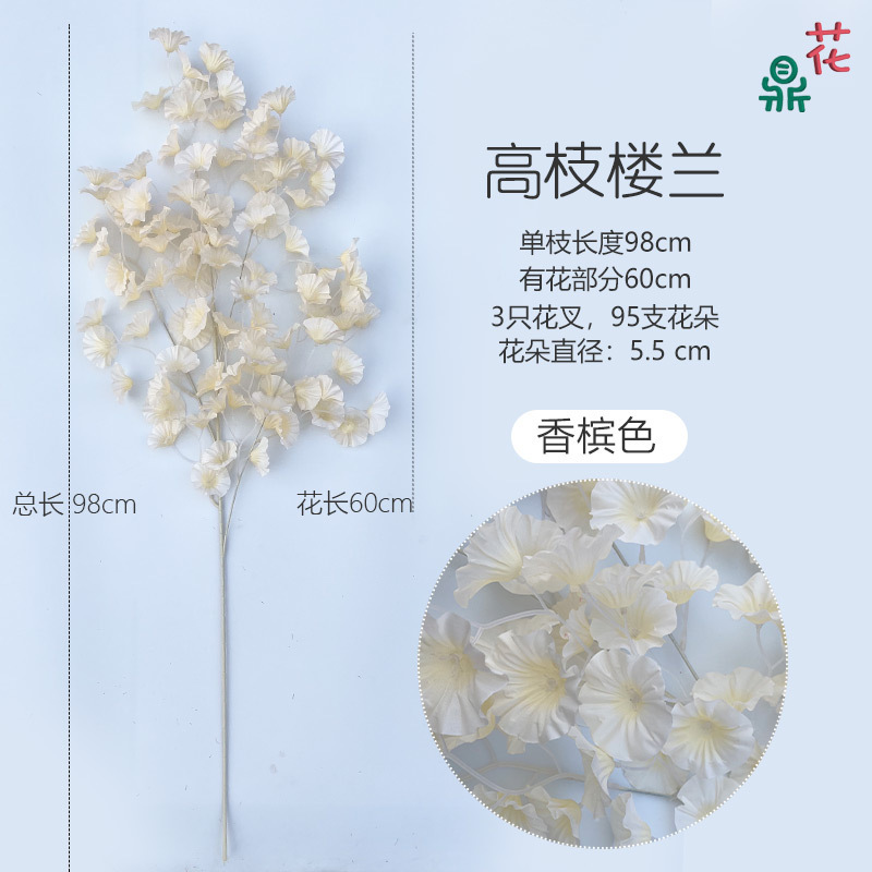 Champagne Loulan à branches hautes