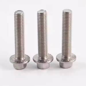 Afrika Project Speciale RVS Zeskantflensbout Moer Set, 304 316 DIN6921 Bevestigingsmiddel voor Stedelijke Bouw en Brugconstructies - Product Image 5