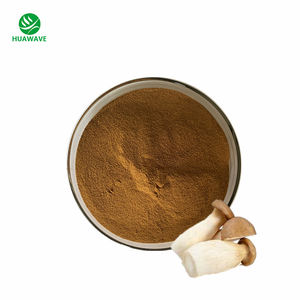 Buon prezzo <span class=keywords><strong>Pleurotus</strong></span> <span class=keywords><strong>Eryngii</strong></span> polisaccaride 10%-50% organico estratto di fungo re tromba - Product Image 1