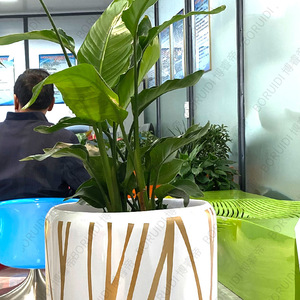 Macetas Circulares Modernas de Fibra de Vidrio MAYJOE para Decoración de Plantas Verdes en Centros Comerciales - Product Image 2