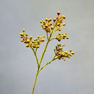 Ramo de Bayas Artificiales Yuexiang de 30cm-100cm, en Gris, Verde, Azul y Amarillo, Material Plástico para Arreglos Decorativos de Frutas - Product Image 4