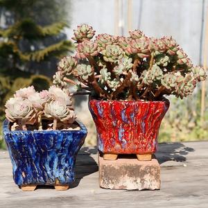 Vaso Artigianale in Ceramica MSH di Grande Diametro <span class=keywords><strong>e</strong></span> Altezza Elevata <span class=keywords><strong>per</strong></span> <span class=keywords><strong>Piante</strong></span> <span class=keywords><strong>Grasse</strong></span> <span class=keywords><strong>e</strong></span> <span class=keywords><strong>Piante</strong></span> Anziane - Product Image 2