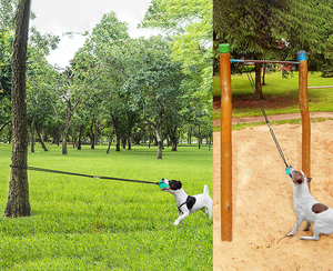 Juguetes de Entrenamiento para Perros Ecológicos Personalizados al por Mayor, Poste de Juego Resistente para Perros al Aire Libre, Suministros para Mascotas Saludables - Product Image 2