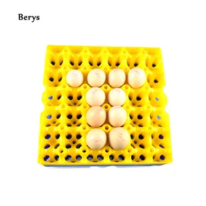 Reusable Plastic Egg Tray Colorful Plastic Egg Tray For Sale