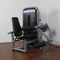 DZ1951 DGZ Appareil de musculation à charges guidées, machine combinée double fonction assise pour extension et flexion des jambes