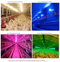 Ampoules LED à haut lumen sans scintillement pour élevage de volailles IP65 Ferme avicole CE Rohs Dimmable pour poulailler