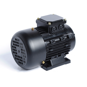 Motor de CA Trifásico de 3kW, 50HZ/60HZ, Alta Eficiencia, IP55, 1000rpm, Cable de Cobre 100%, Carcasa de Hierro Fundido y Aluminio, Tipo Ardilla - Product Image 1