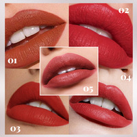 O'CHEAL Crème à lèvres minérale végane à label privé, gloss à lèvres mat repulpant longue tenue, couleurs personnalisées, CE 7g