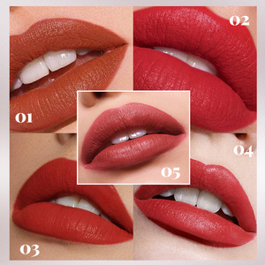 Private Label Vegan Mineral Liquid Lip Glaze Waterproof Long-lasting Lip Plumper-<b>blush</b> Drizzle Cream <b>Matte</b> Lip Gloss - Product Image 6