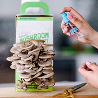 Kit de culture de champignons bio Cadeau de jardinage Kit de culture de champignons d'huîtres Set de culture de jardin
