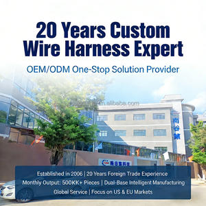 Rangkaian Kabel Kustom OEM 2 Pin 22 AWG dengan Isolasi PVC/Nylon/PTFE & Selubung Putih untuk Aplikasi Industri - Product Image 6